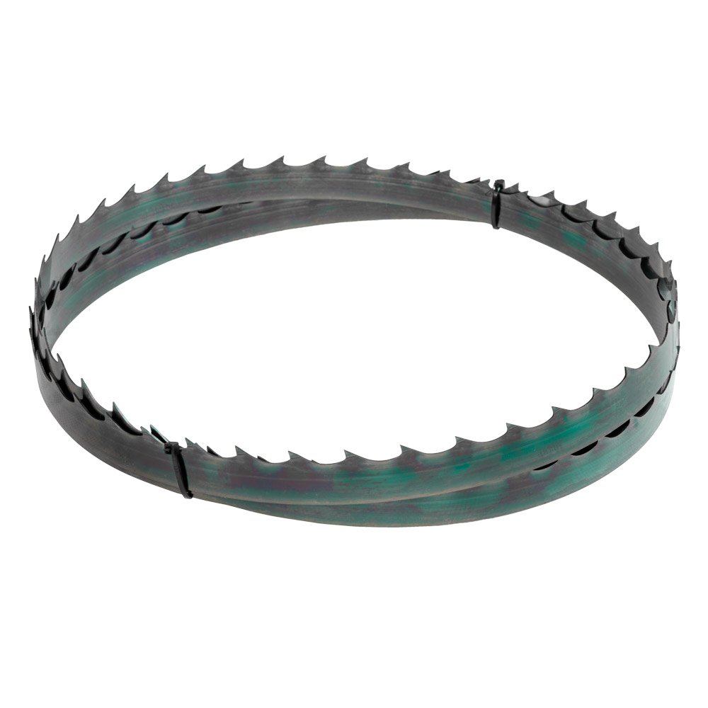 Lame de rechange pour scie à grumes Holzmann BBS350